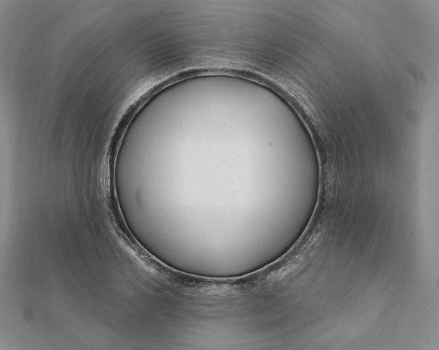 X0000112060982200908251017