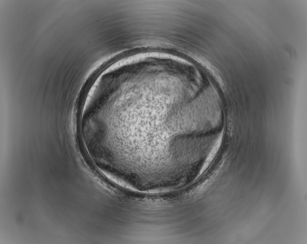 X0000112060983200908251017