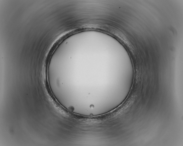 X0000112060984200908251017