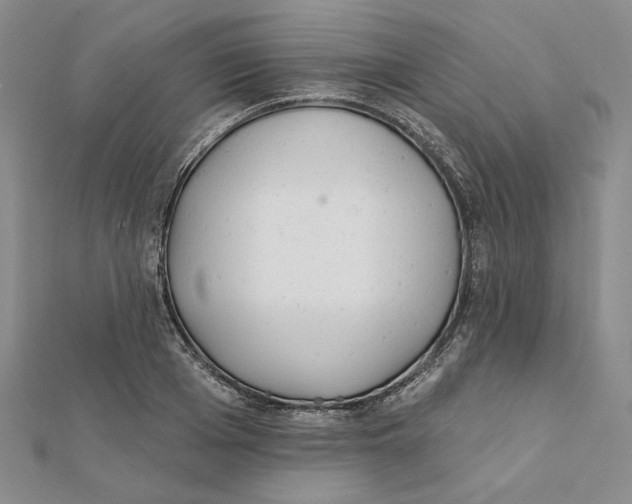 X0000112060985200908251017