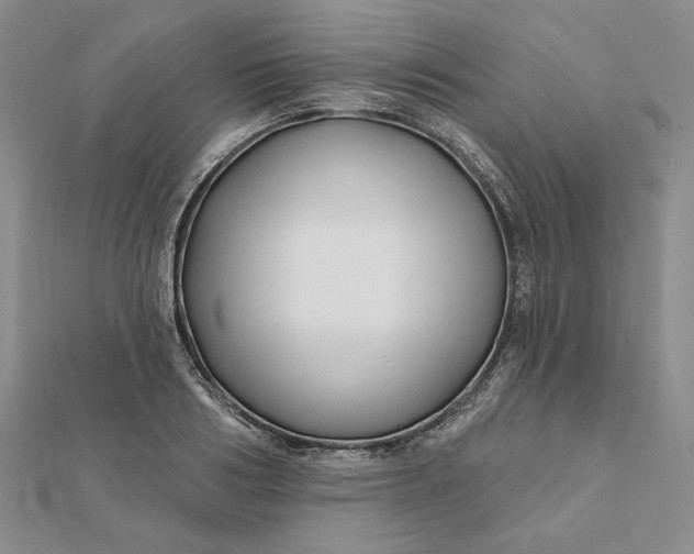 X0000112060986200908251017