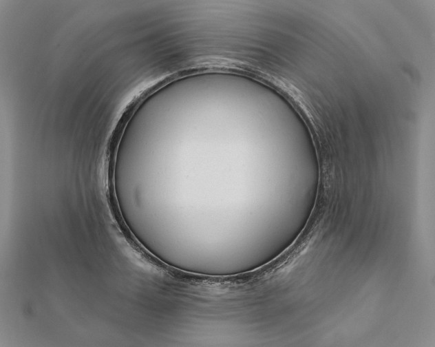 X0000112060987200908251017