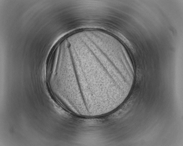 X0000112060988200908251017