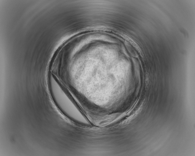 X0000112060989200908251017