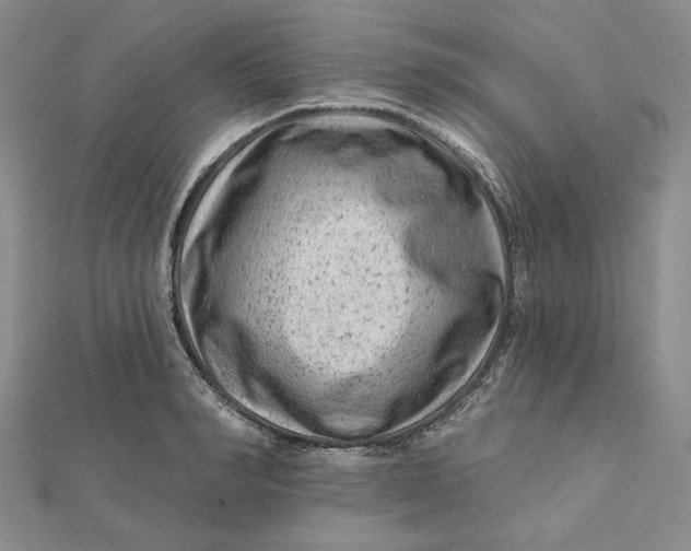 X0000112060990200908251017