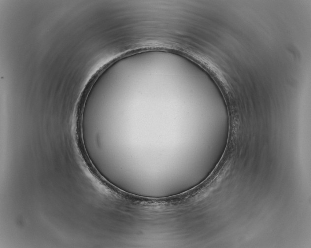 X0000112060991200908251017