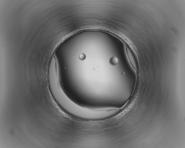 X0000112060993200908251017