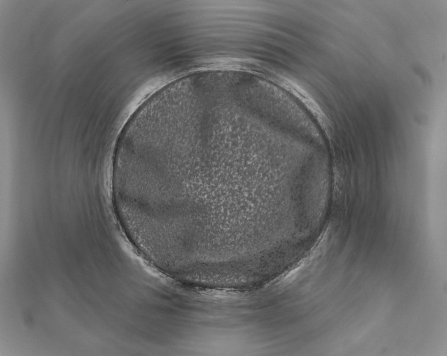 X0000112060994200908251017