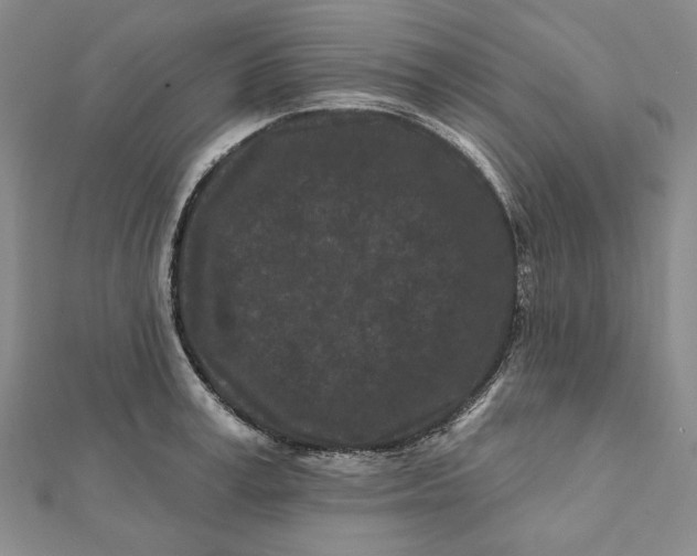 X0000112060995200908251017