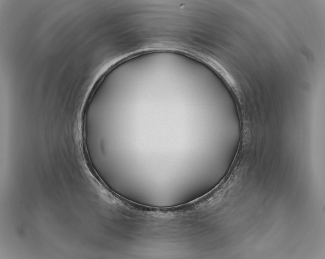 X0000112060996200908251017