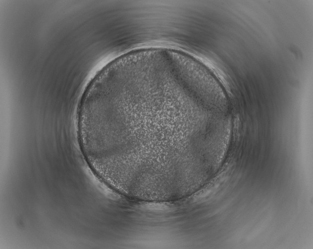 X0000112060998200908251017