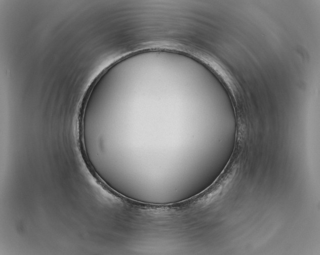 X0000112060999200908251017