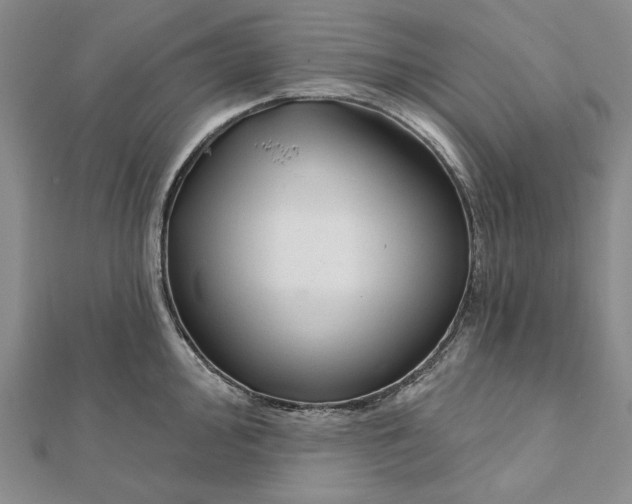 X0000112061000200908251017