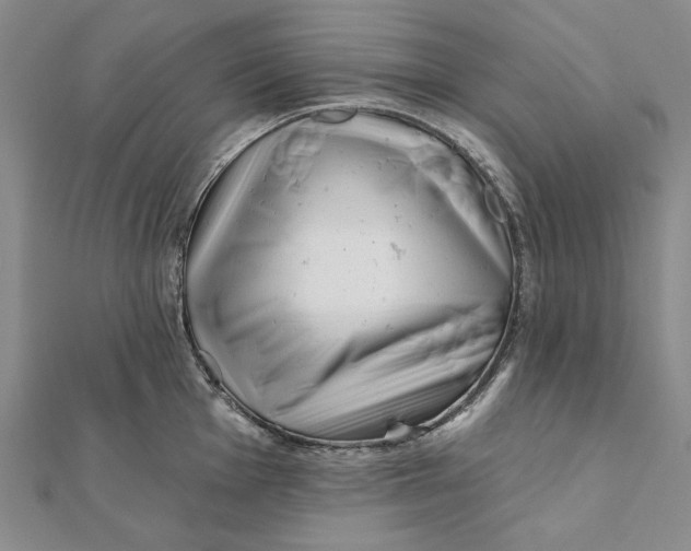 X0000112061001200908251017