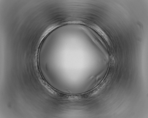 X0000112061002200908251016