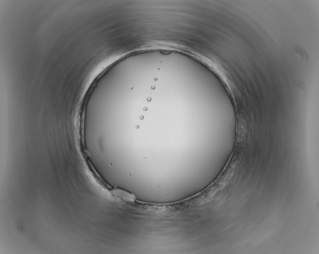 X0000112061003200908251016