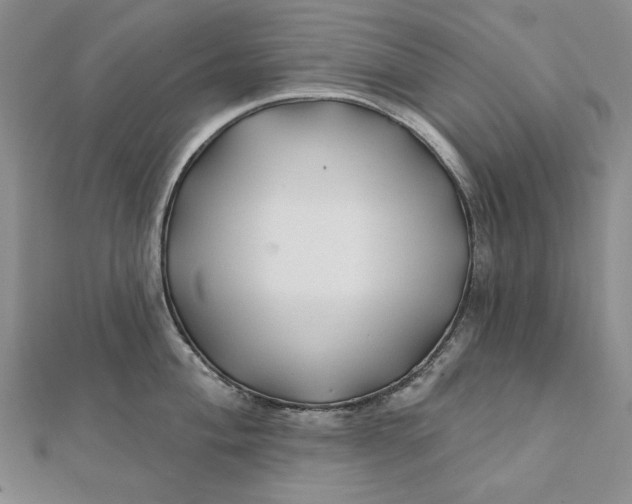 X0000112061004200908251016