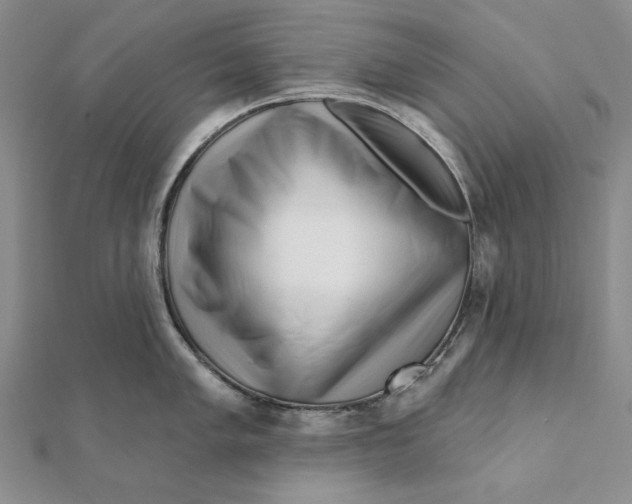 X0000112061005200908251016