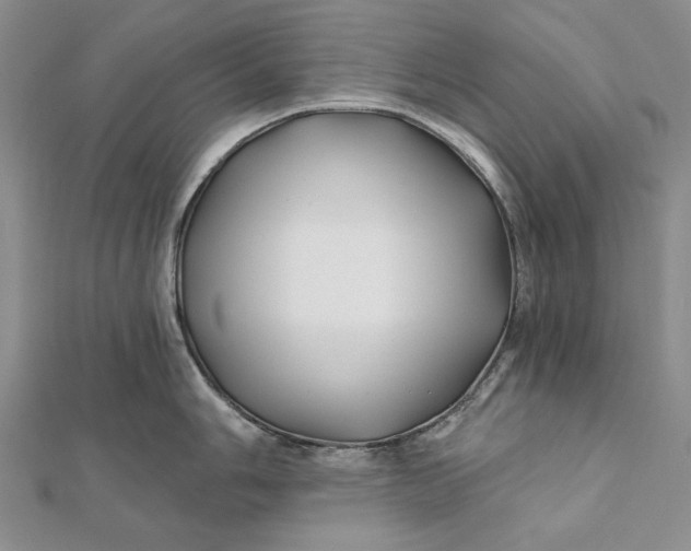 X0000112061006200908251016