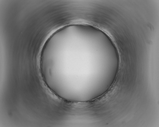 X0000112061008200908251016