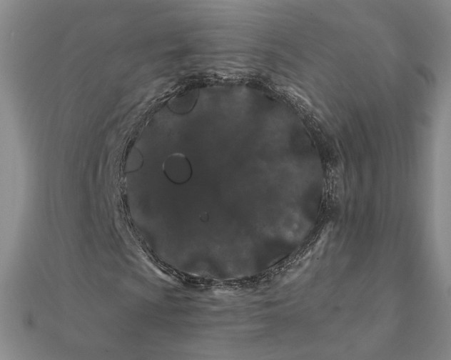 X0000112061009200908251016