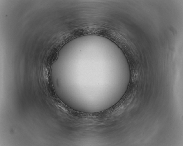 X0000112061010200908251016