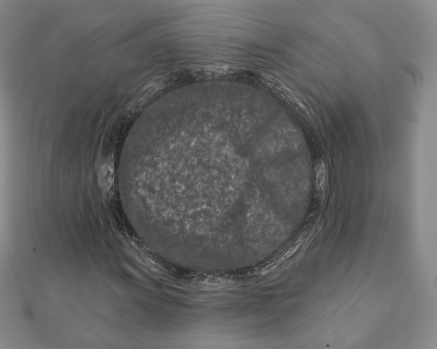 X0000112061011200908251016