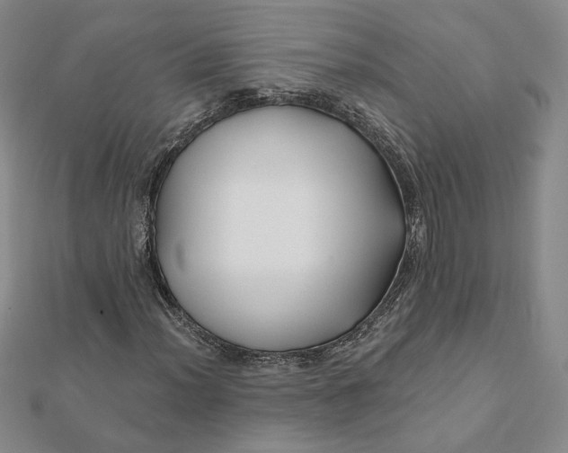 X0000112061012200908251016