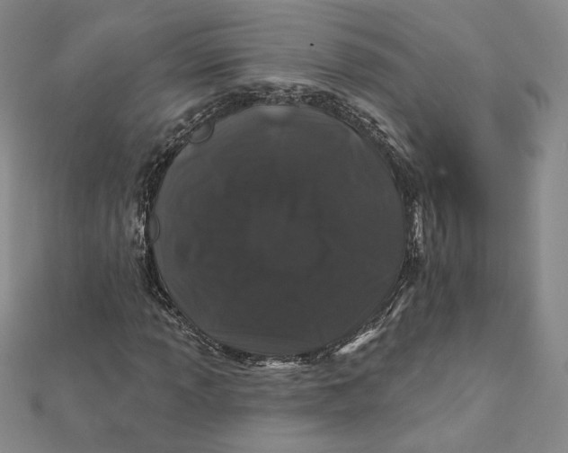 X0000112061013200908251016