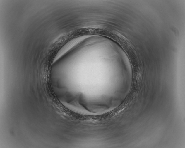 X0000112061014200908251016