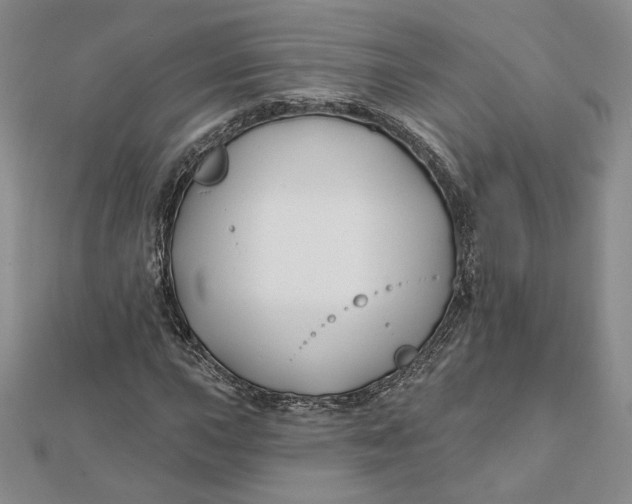 X0000112061015200908251016