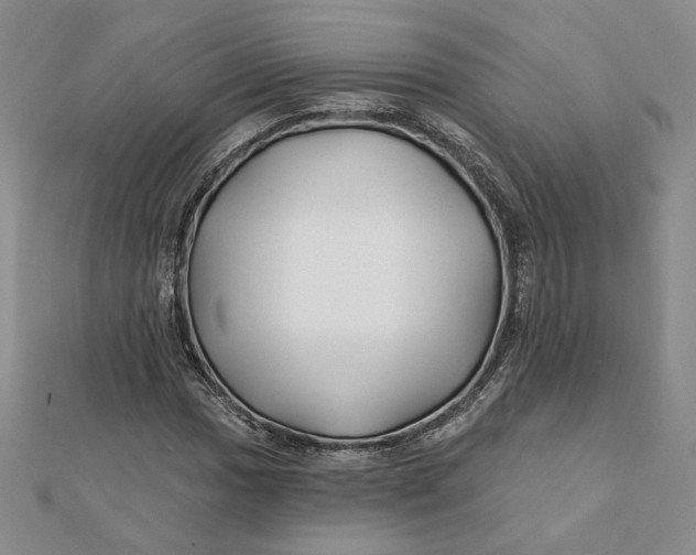 X0000112061017200908251016