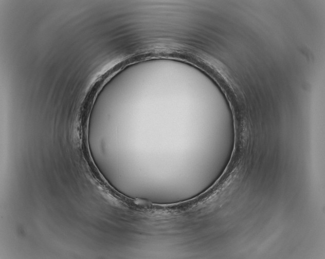 X0000112061018200908251016