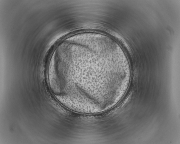 X0000112061019200908251016