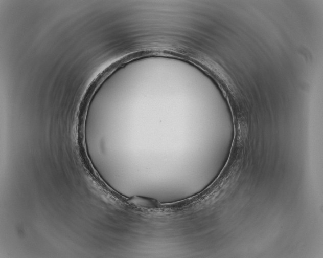 X0000112061020200908251016