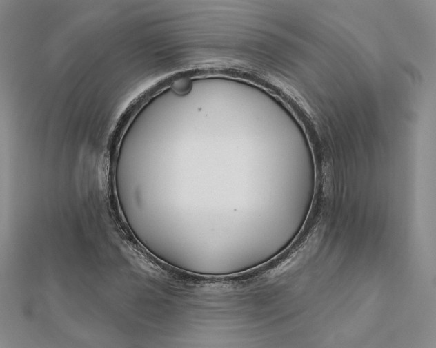 X0000112061021200908251016