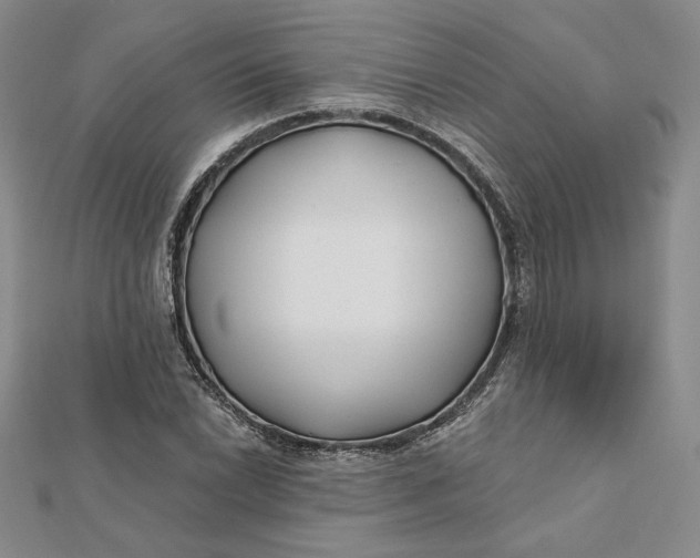 X0000112061022200908251016