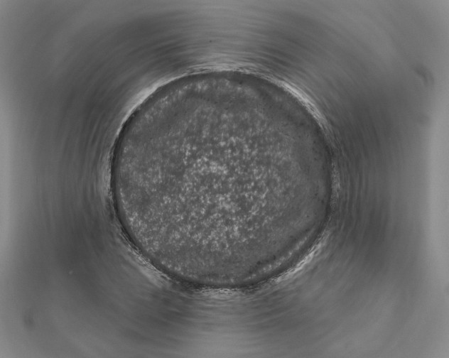 X0000112061023200908251016