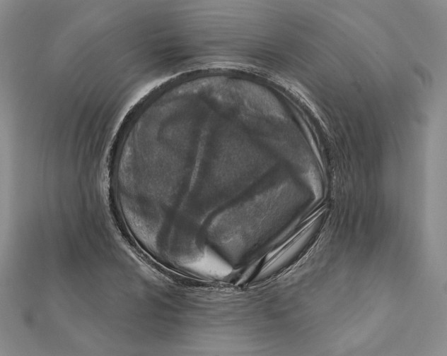 X0000112061024200908251016