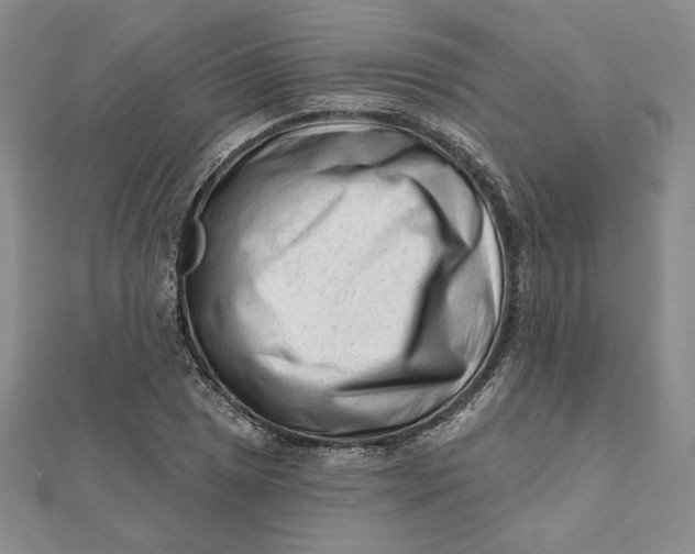 X0000112061025200908251016