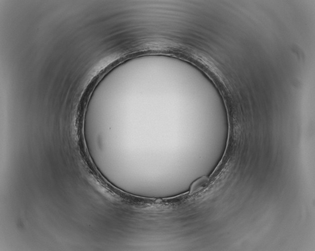 X0000112061026200908251016