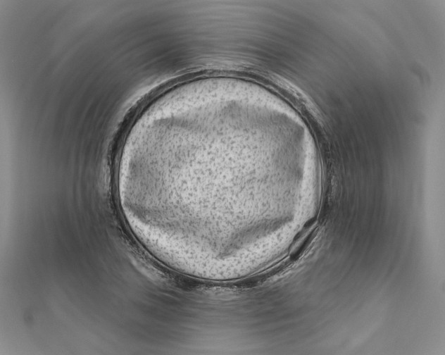 X0000112061027200908251016