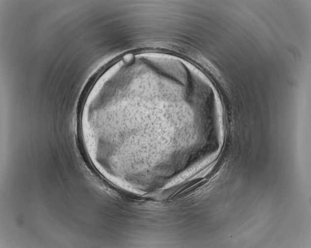 X0000112061028200908251016