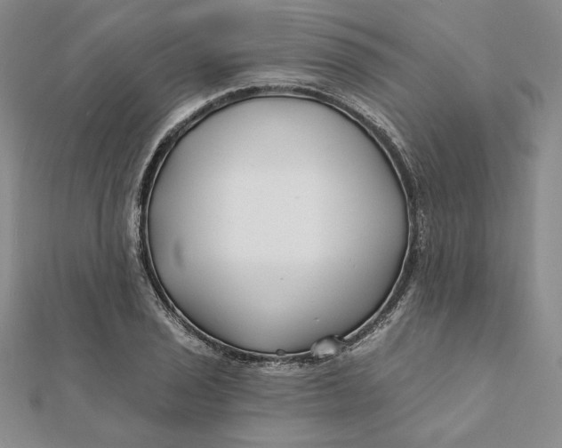 X0000112061029200908251016