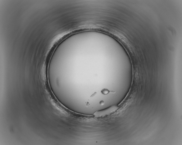 X0000112061030200908251016