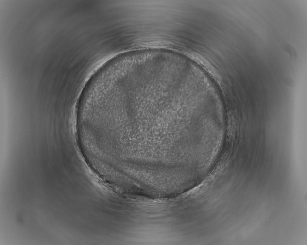 X0000112061031200908251016