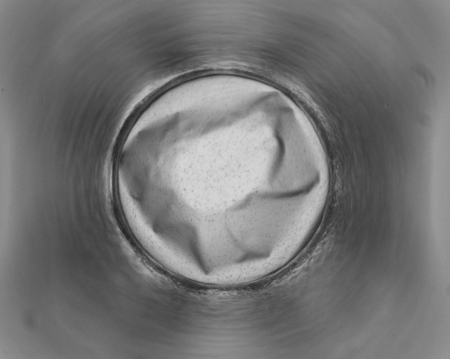 X0000112061032200908251016