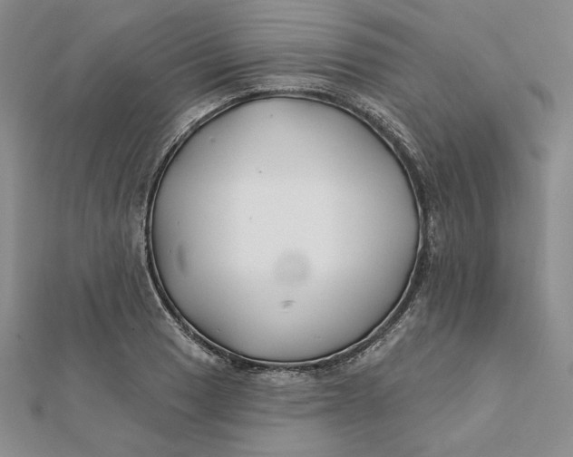 X0000112061033200908251016