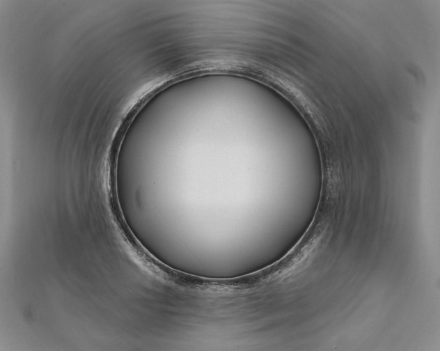 X0000112061034200908251016