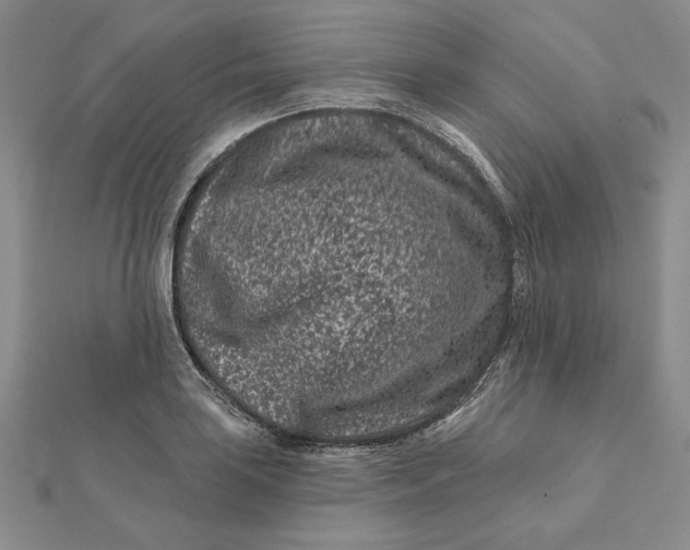 X0000112061035200908251016